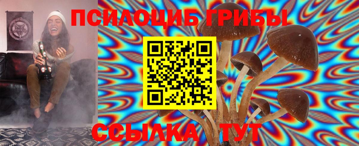 Галлюциногенные грибы ЛСД Горно-Алтайск